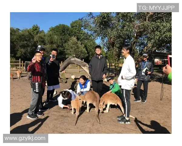 我会踢足球英语学习之旅从基础到流利的实用技巧与方法 我会踢足球英语学习之旅从基础到流利的实用技巧与方法