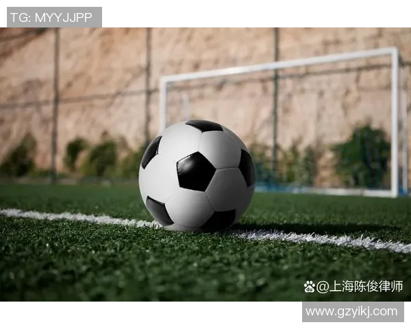 赛拉图足球：探索这项运动的魅力与未来发展潜力